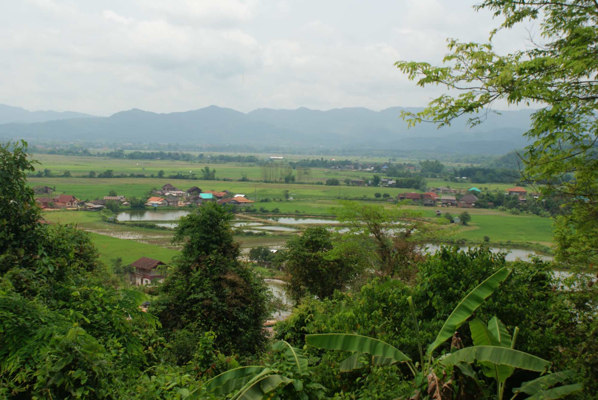 Fields around Luang Namtha