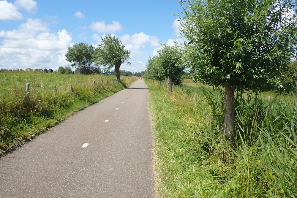 ścieżka rowerowa prowadząca do rezerwatu przyrody