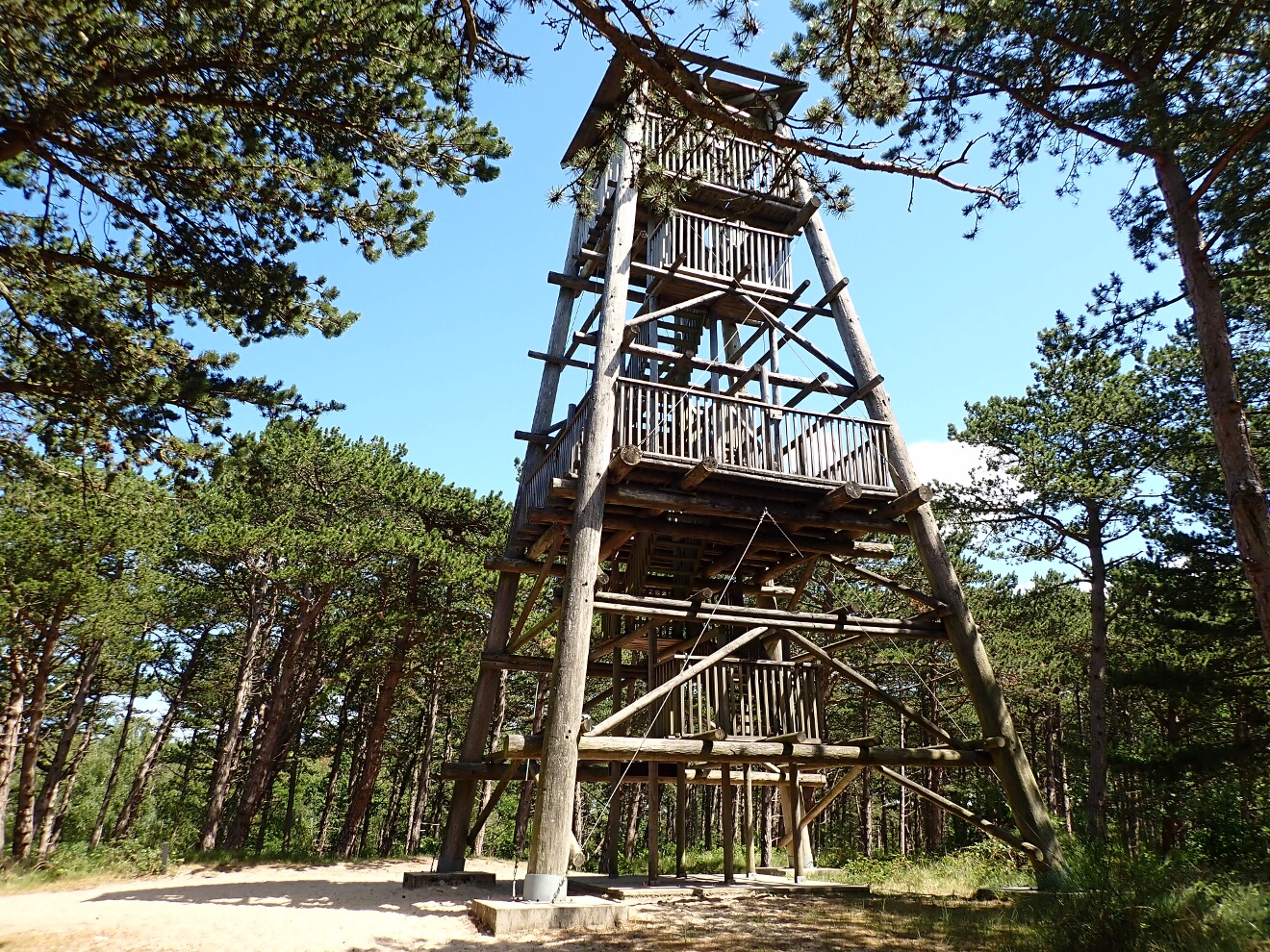 drewniana wieża, która służy jako punkt widokowy