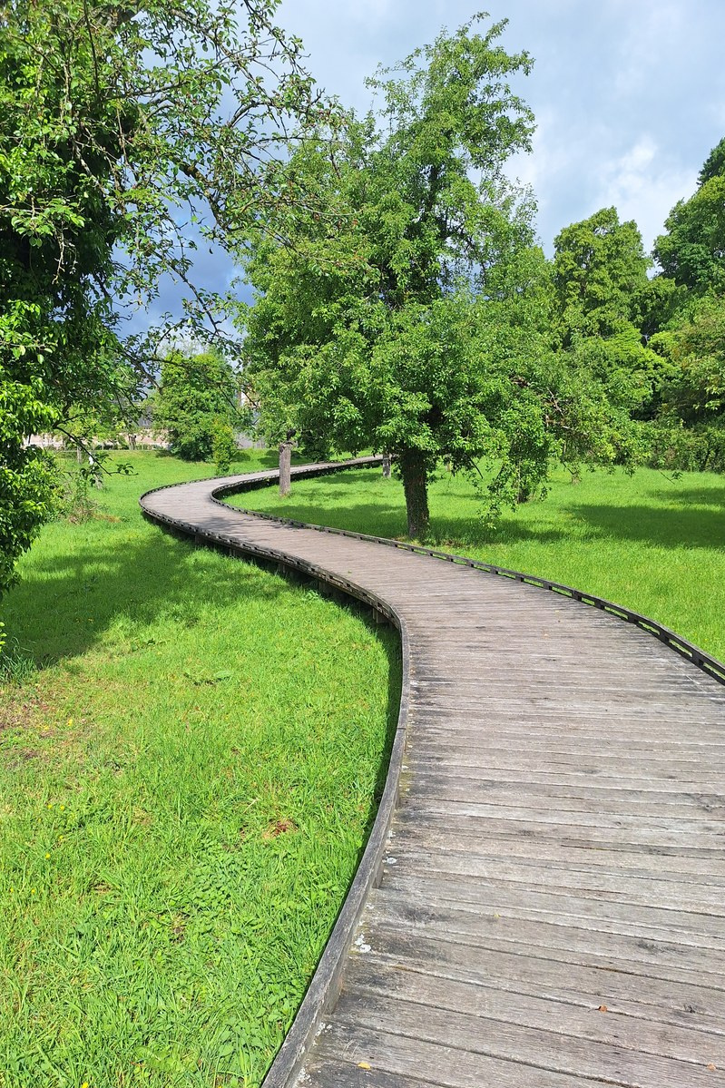 Curved wooden boardwalk winding through green orchard grounds at Alden Biesen castle