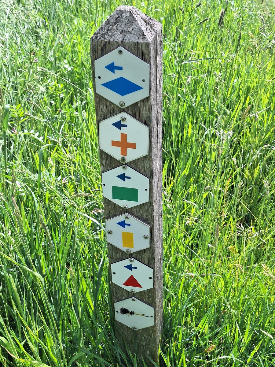 Wooden trail marker post in tall grass showing several hexagonal waymarking signs, including an orange cross route marker