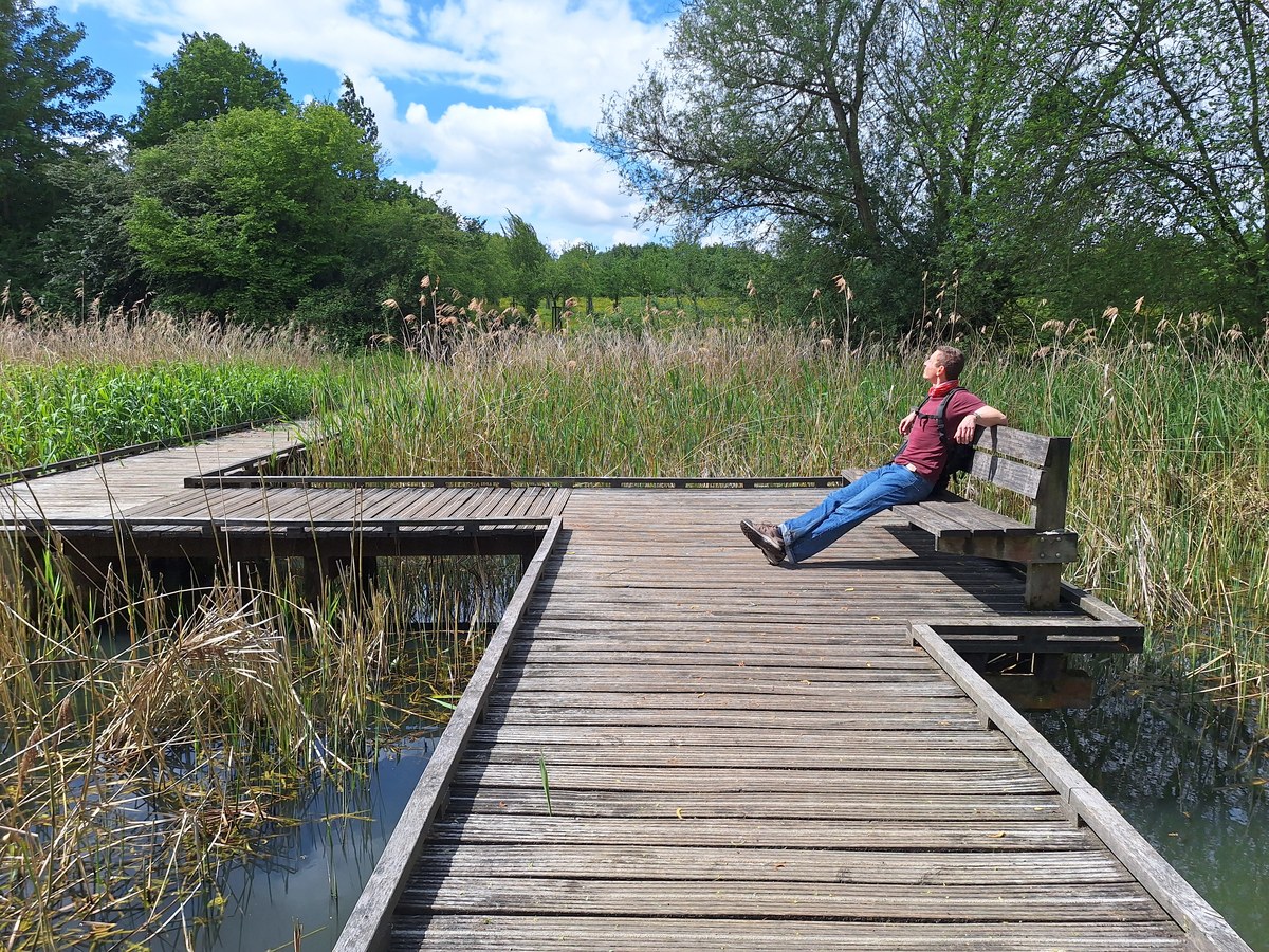 A hiker relaxing on a wooden bench at the end of a boardwalk over a reed-lined wetland pond near Alden Biesen