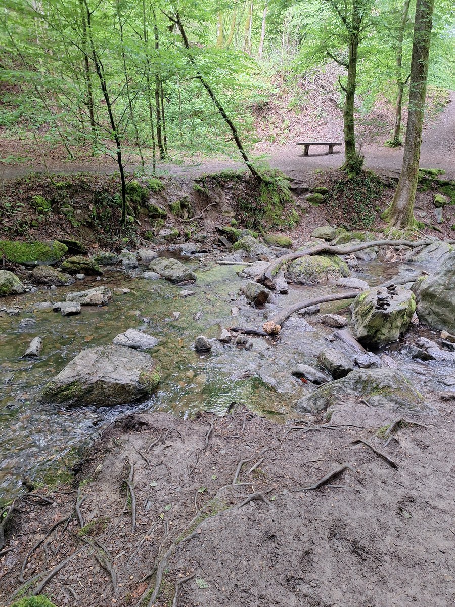Quiet forest stream over rocks with a bench in a clearing along the Vallon du Ninglinspo