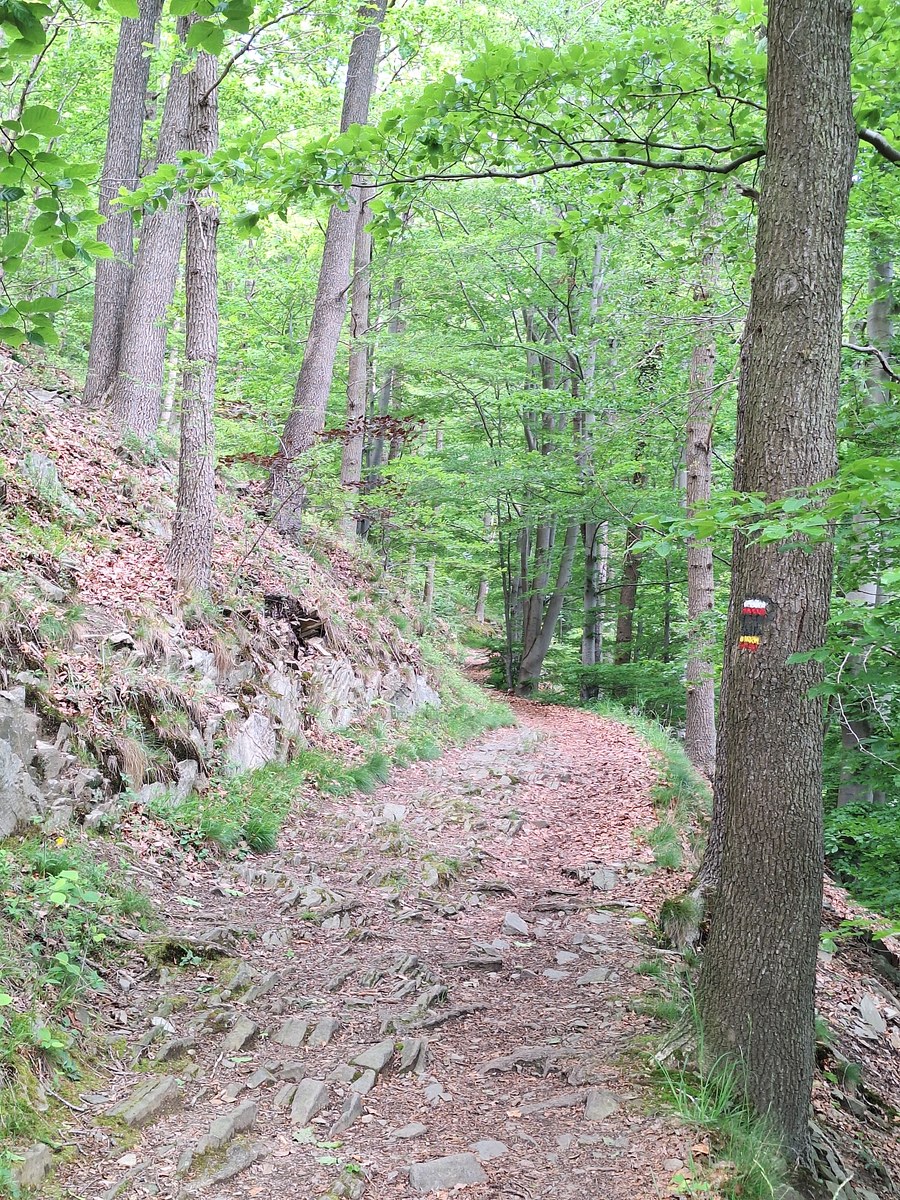 Rocky forest trail marked with a red-and-yellow waymark on a tree, climbing along a stony slope at Heid Des Gattes