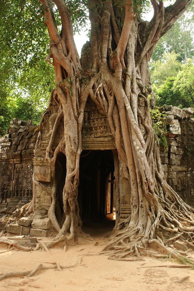 Angkor Wat w Kambodży