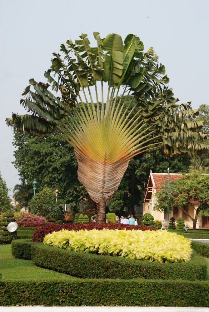 Royal Palace in Phnom Penh