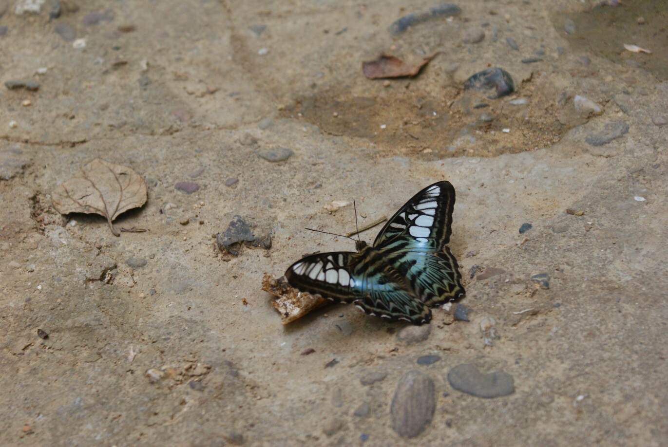 Vang Vieng village