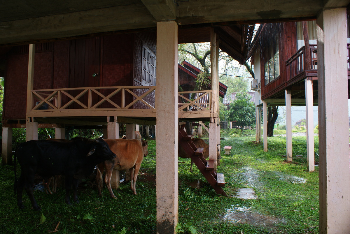 Vang Vieng village