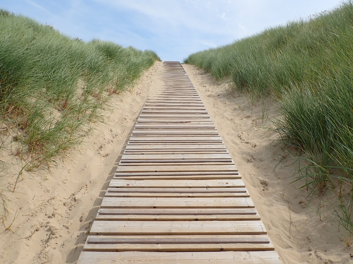 beach in the Nieuwvliet