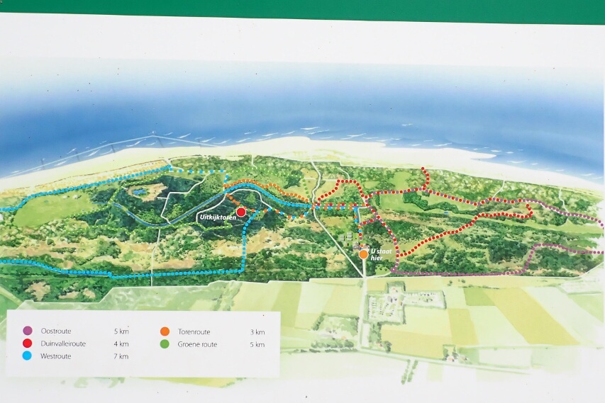 Mapa poszczególnych tras w rezerwacie przyrodu, każda oznaczona innym   kolorem